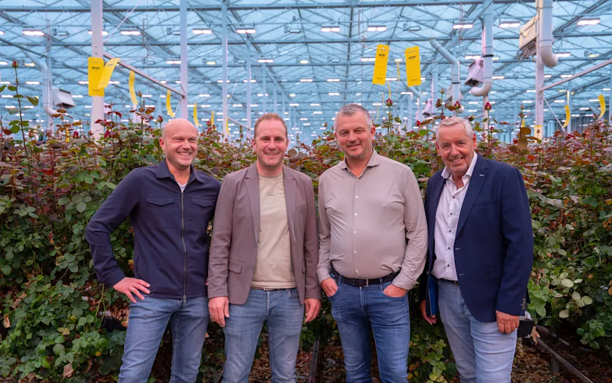 Direttore vivaio di rose Porta Nova e Van der Plas