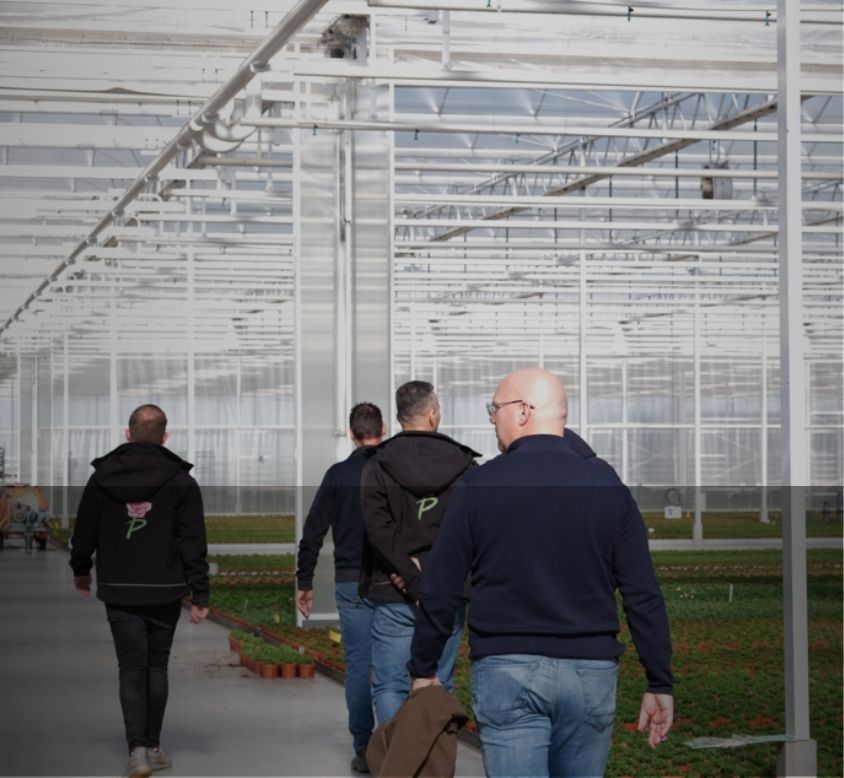 Van der Plas employees visit greenhouse of Grootscholten 