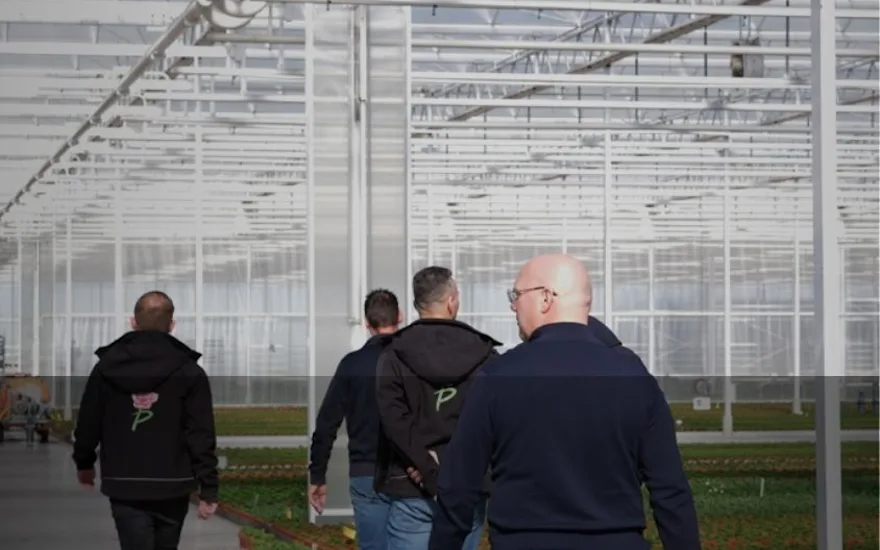 Van der Plas employees visit greenhouse of Grootscholten