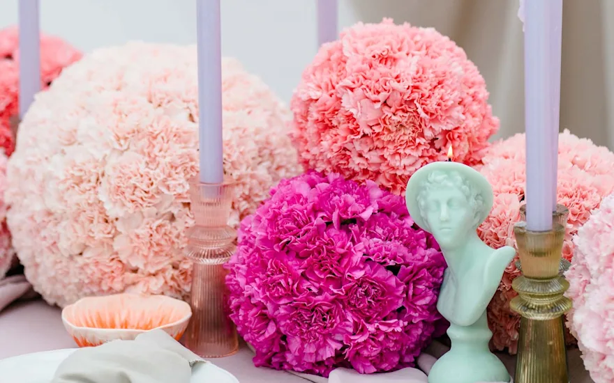 Van der Plas wedding anjer7.2