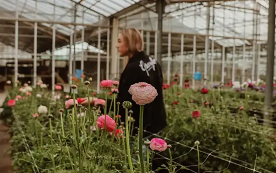 Greenflor: váš dodavatel pryskyřníků