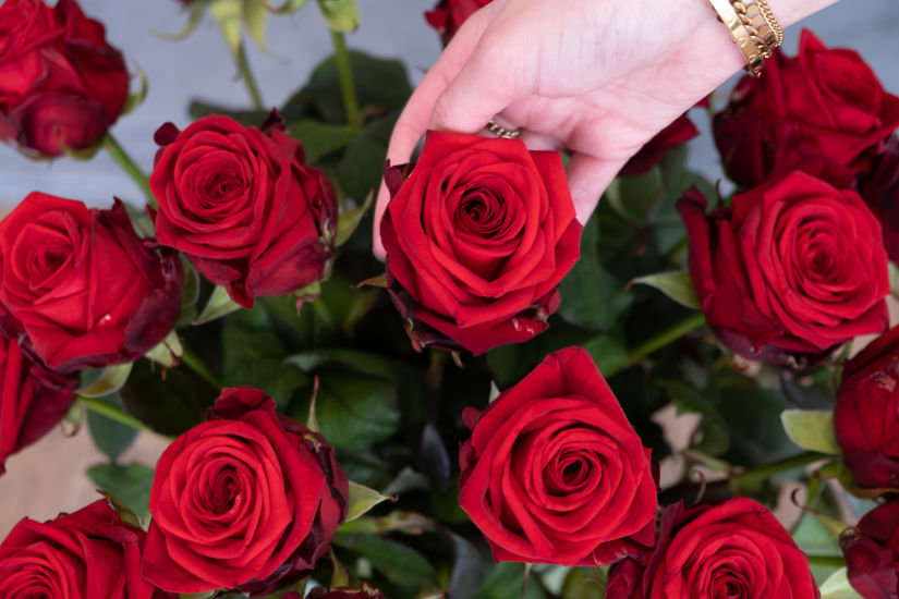 Perché le rose rosse e il giorno di San Valentino vanno di pari