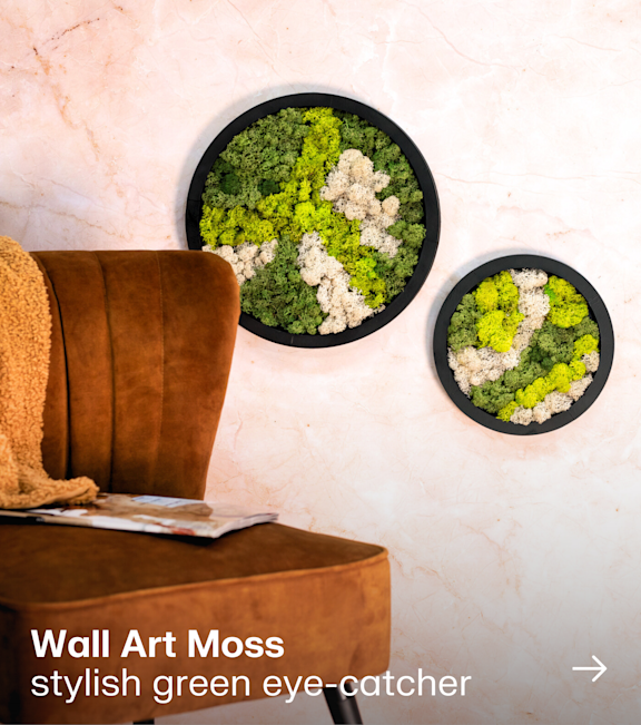Wall Art Moss