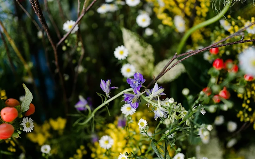 De warme kleuren van de zomerbloemen van Rotoflowers
