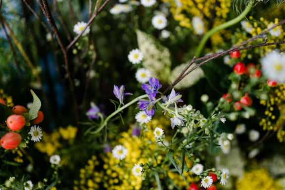 De warme kleuren van de zomerbloemen van Rotoflowers