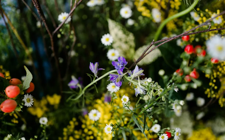 The warm colours of Rotoflowers' summer flowers