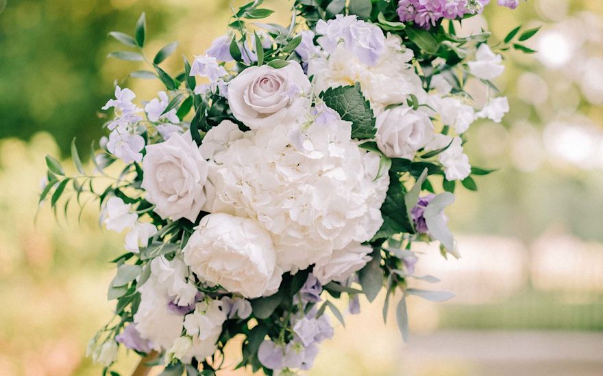 Tema matrimonio peonie bianche