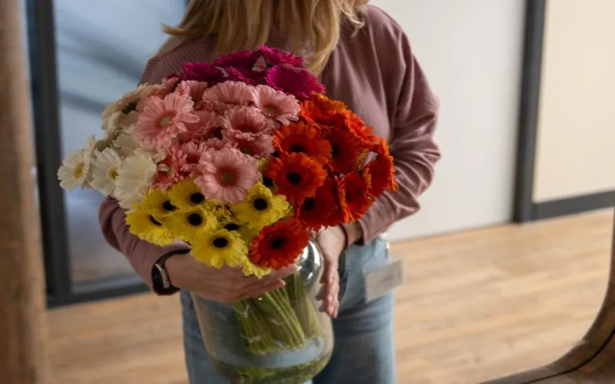 Gerbra resized 870x500 4