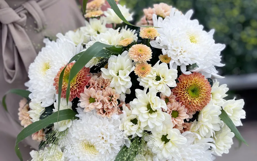 Zentoo-Joie-de-Vivre-4.2