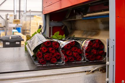 VDP Porta-Nova kwekerbezoek 0125-04