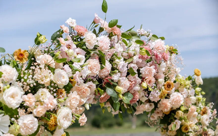 Van der Plas - wedding flowers lisianthus