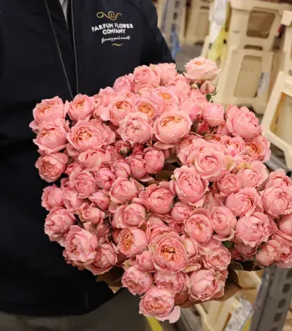Parfum Flowers roses