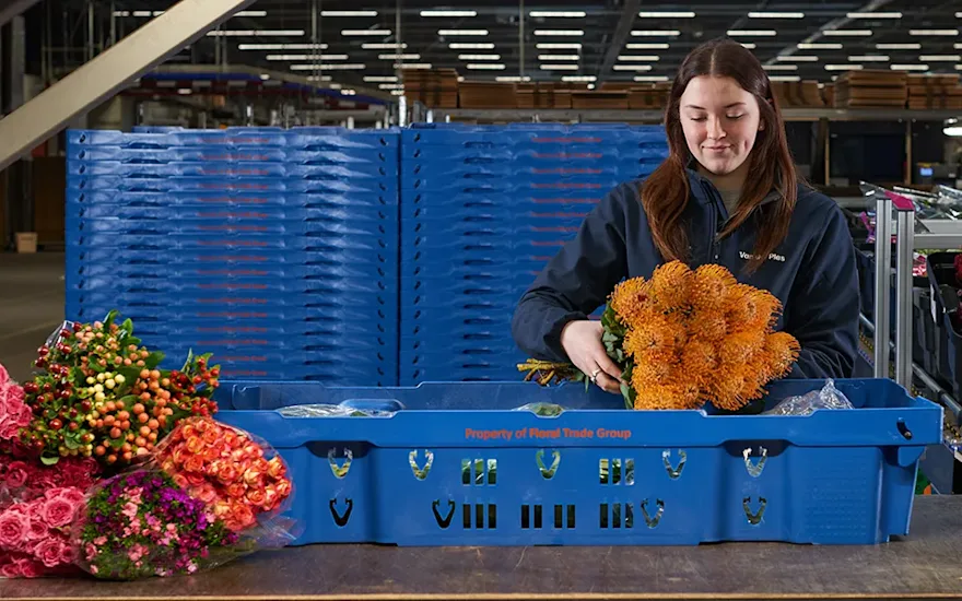 blumen-transport-verpackung