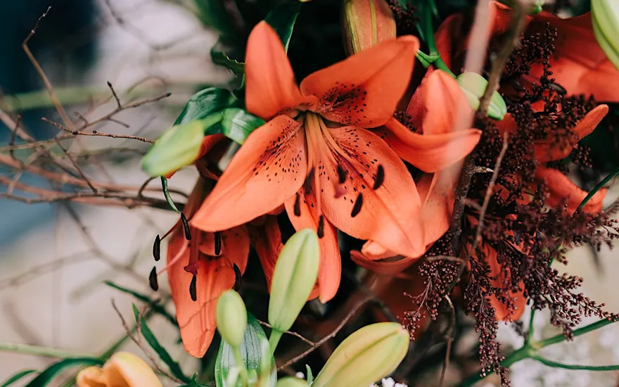 Vanderplas 2023 weddinginspiration 329.2