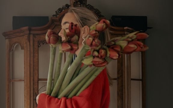 Red amaryllis in home setting