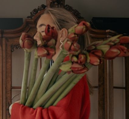 Rød amaryllis i hjemmemiljø