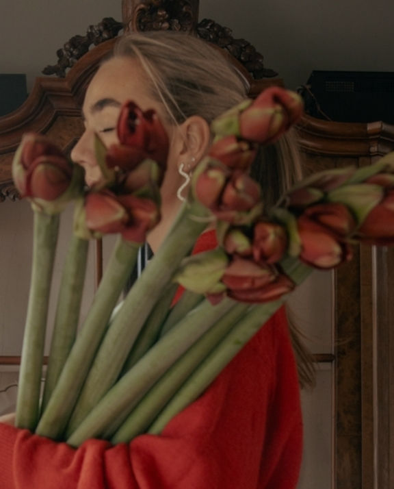 Red amaryllis in home setting