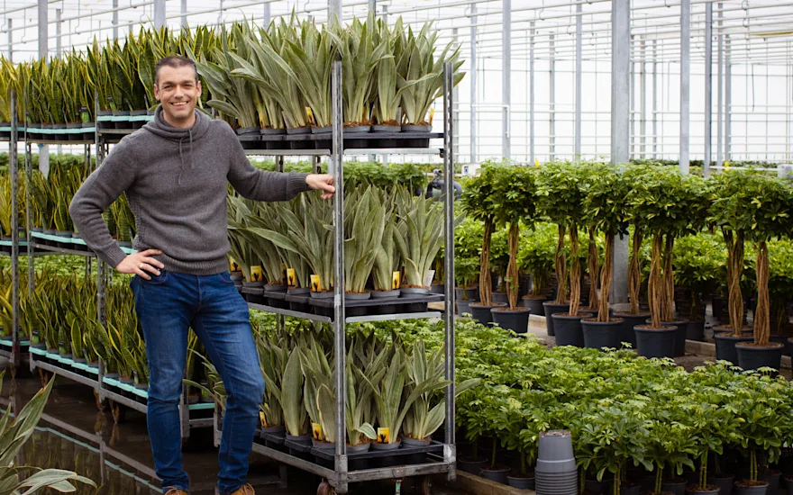 Van der Plas house plants Jogrow-28