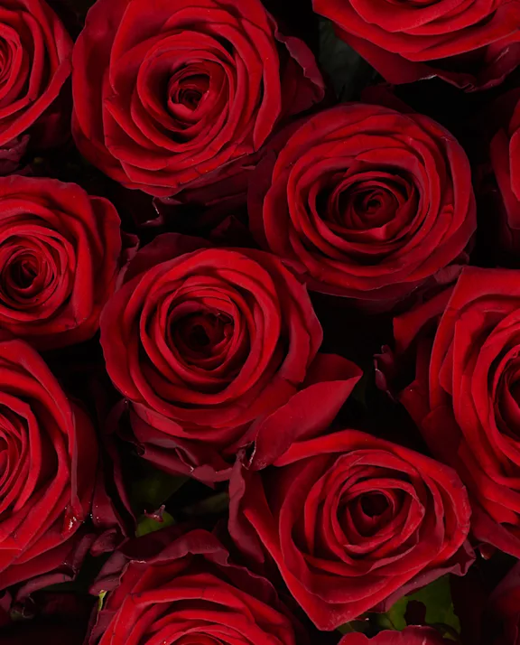 Rozen details red naomi website B 1124