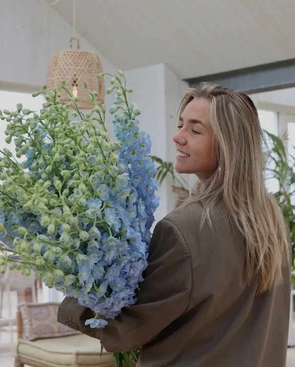 SubMenu Delphinium blue