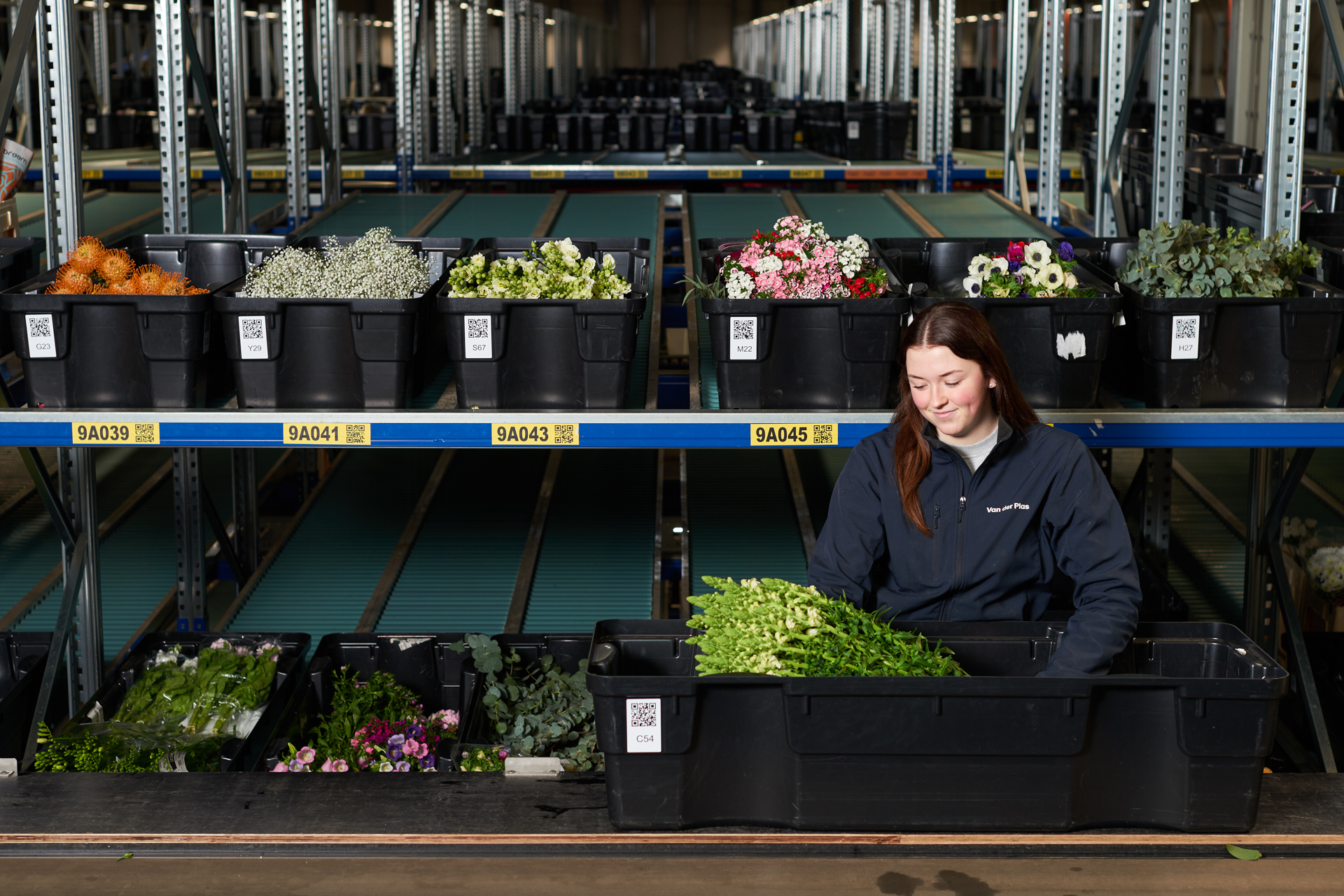 Medwerker kubus groen zwarte krat website B 0324 (1) verkleind