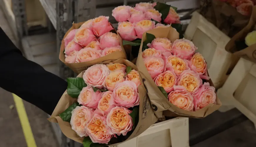 Parfum Roses blog-3