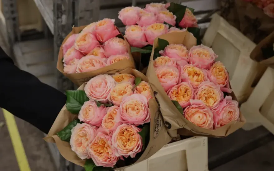 Parfum Roses blog-3