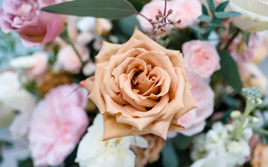 Van der Plas Wedding Freesia18