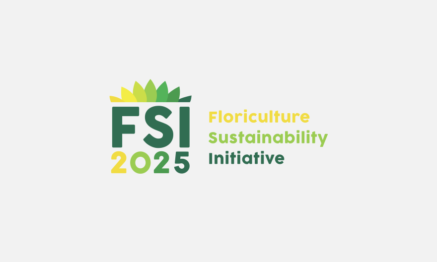 FSI 2025