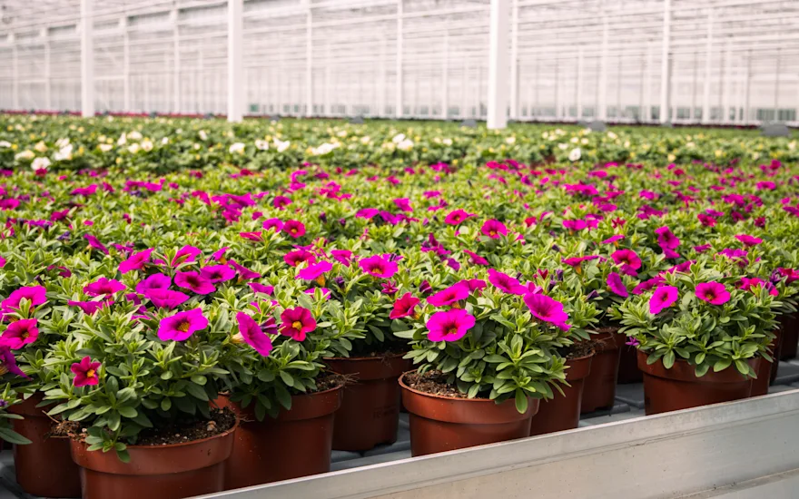 Grootscholten (1 van 1)-3