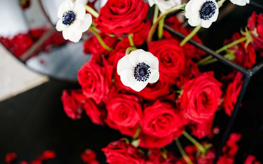 Van der Plas Red Naomi Wedding 08.2