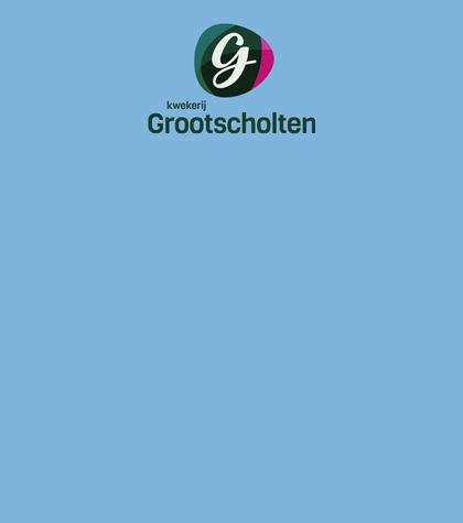 Meet Grootscholten