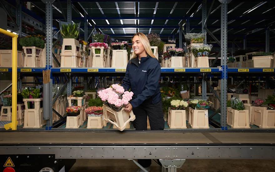 Impiegata di un grossista di fiori lavora rose rosa
