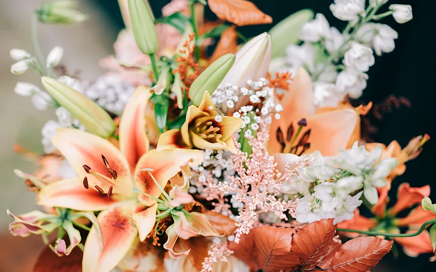 Vanderplas 2023 weddinginspiration 255