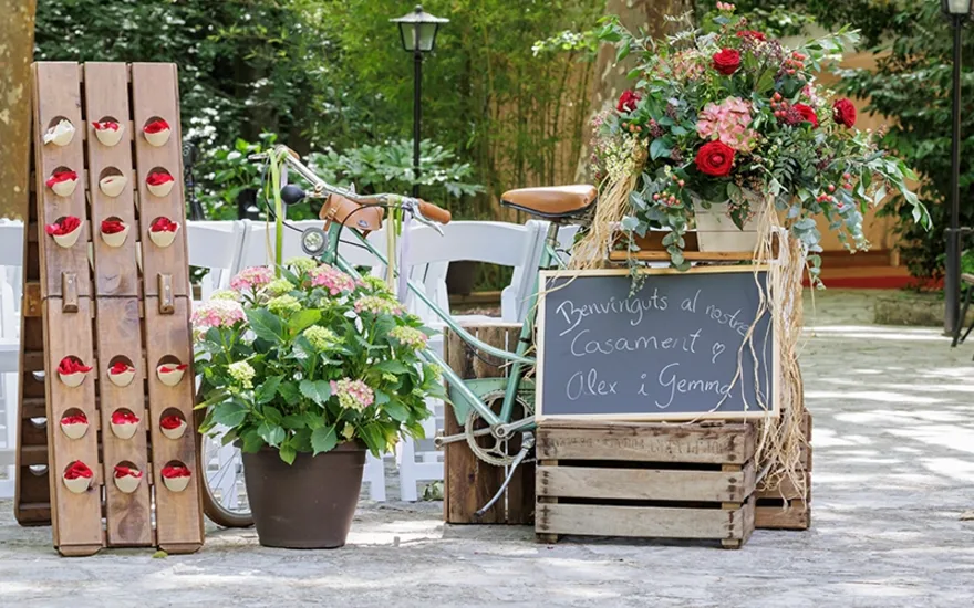 love through a red rose setting