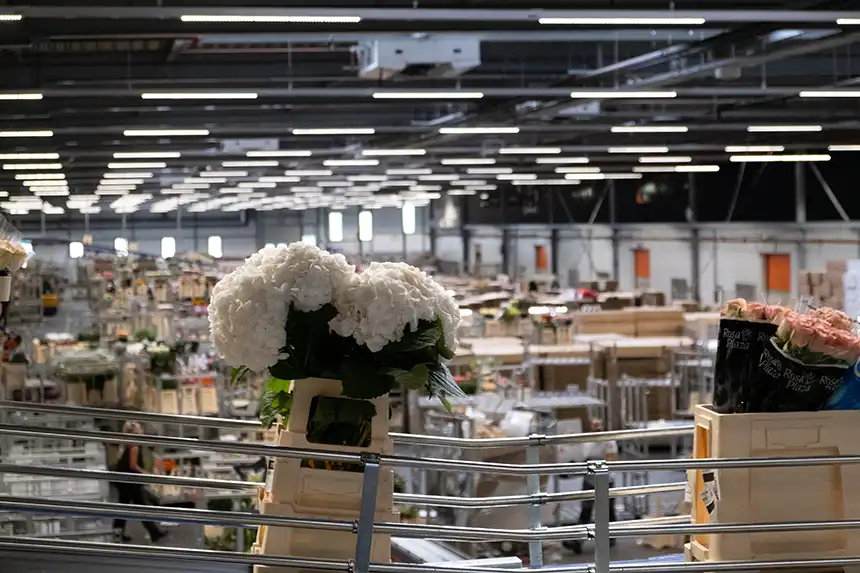 Velkoobchod s květinami moderní zařízení
