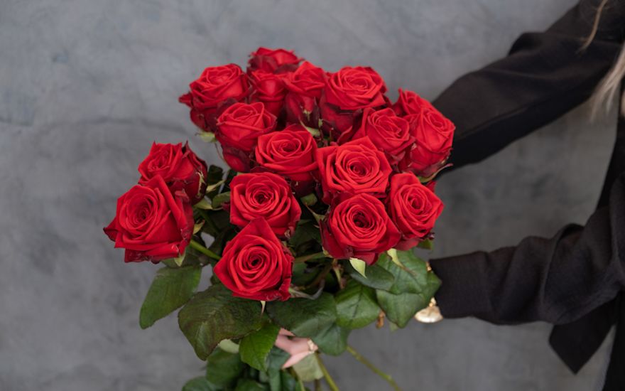 Rose rosse Porta Nova