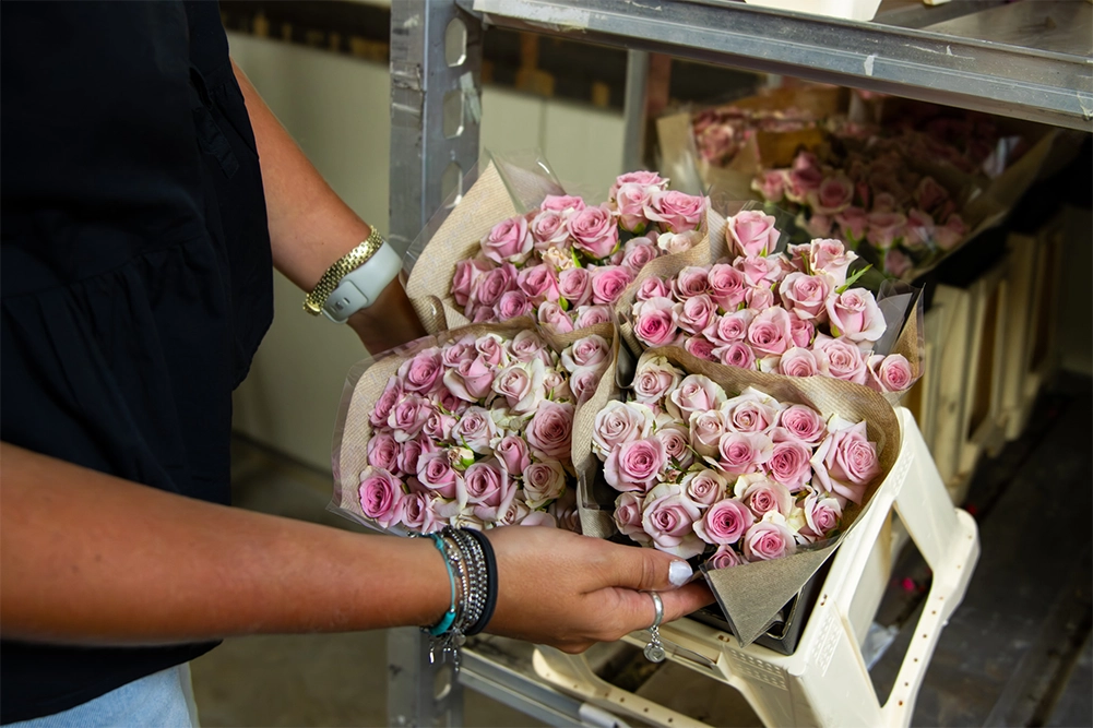 VDP-Fransen-trosrozen-kweker-0725-verkleind-04