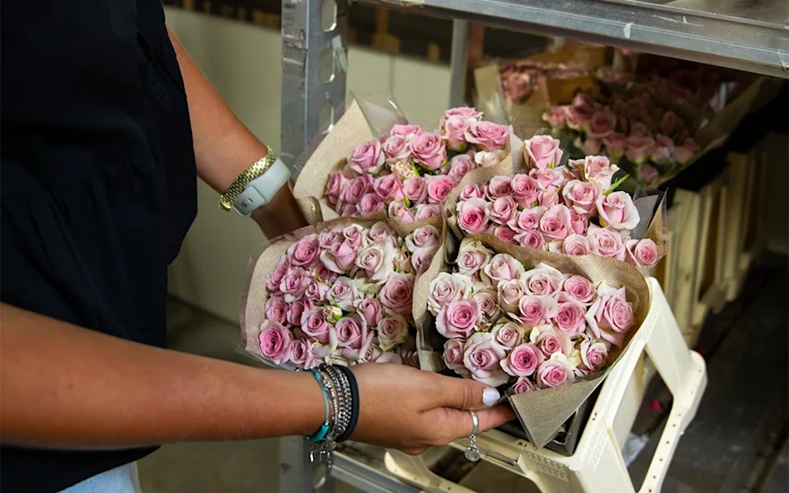 VDP-Fransen-trosrozen-kweker-0725-verkleind-04