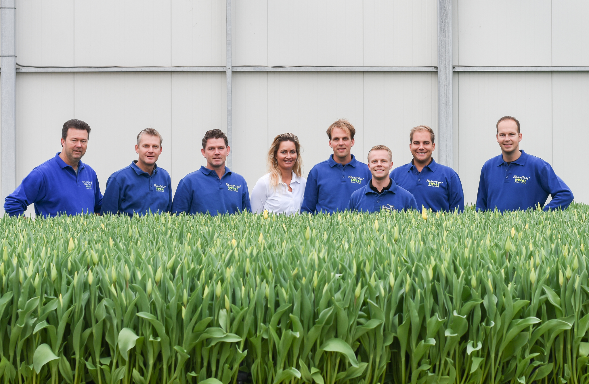 Employés de la pépinière de tulipes