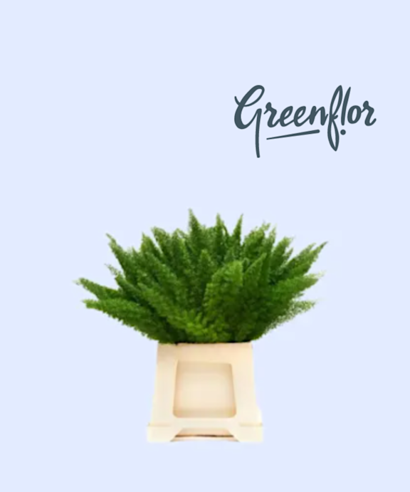 Test cc - Greenflor