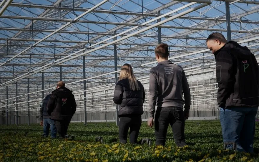 Greenhouse Grootscholten with employees