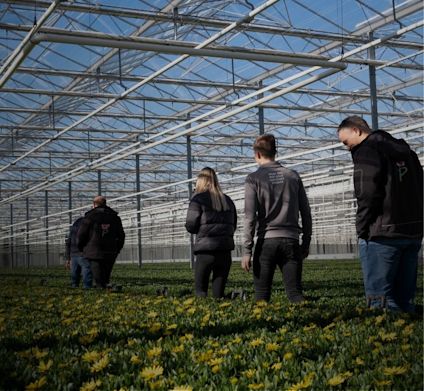 Greenhouse Grootscholten med ansatte