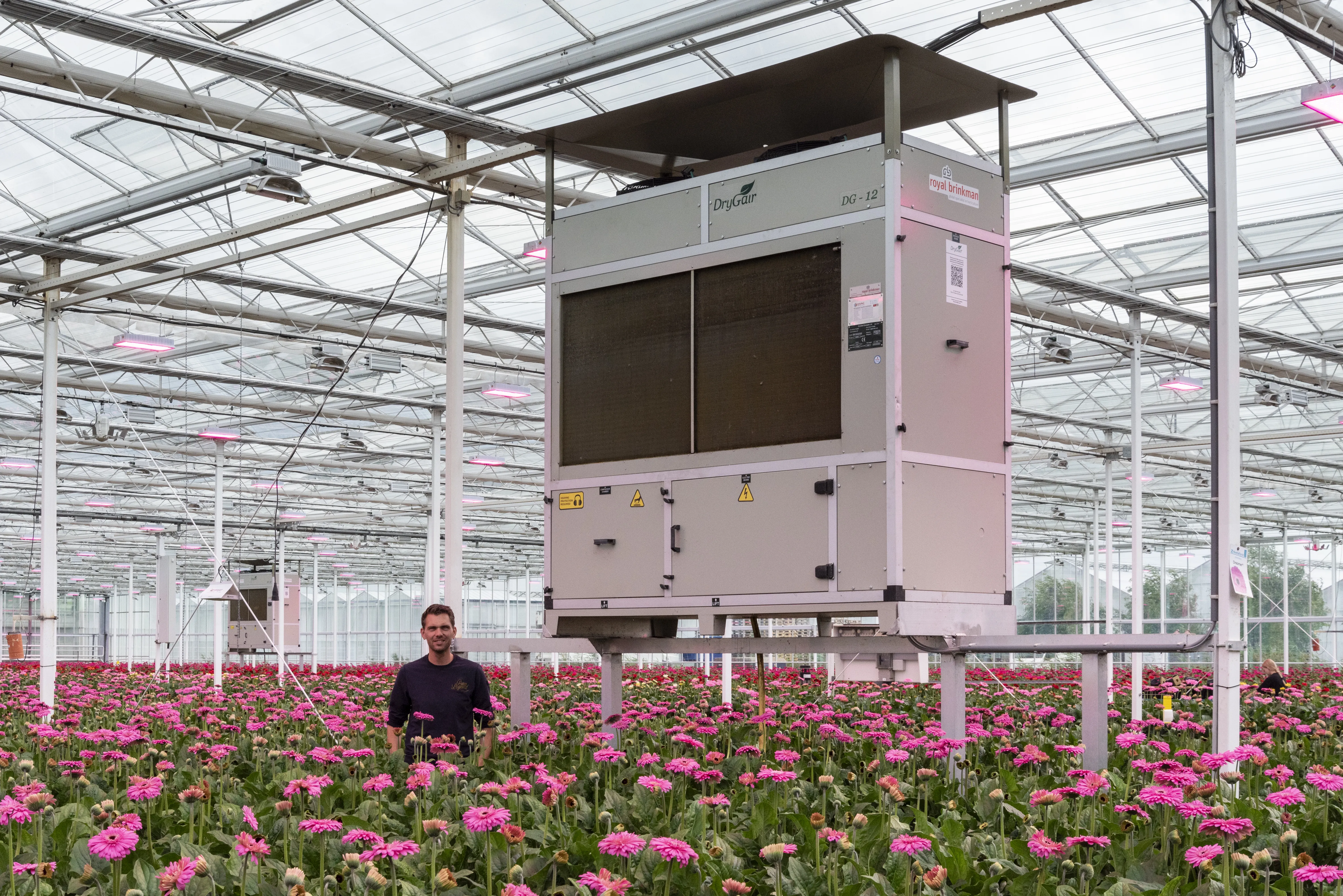 KwekerijDeZuidplas 8825