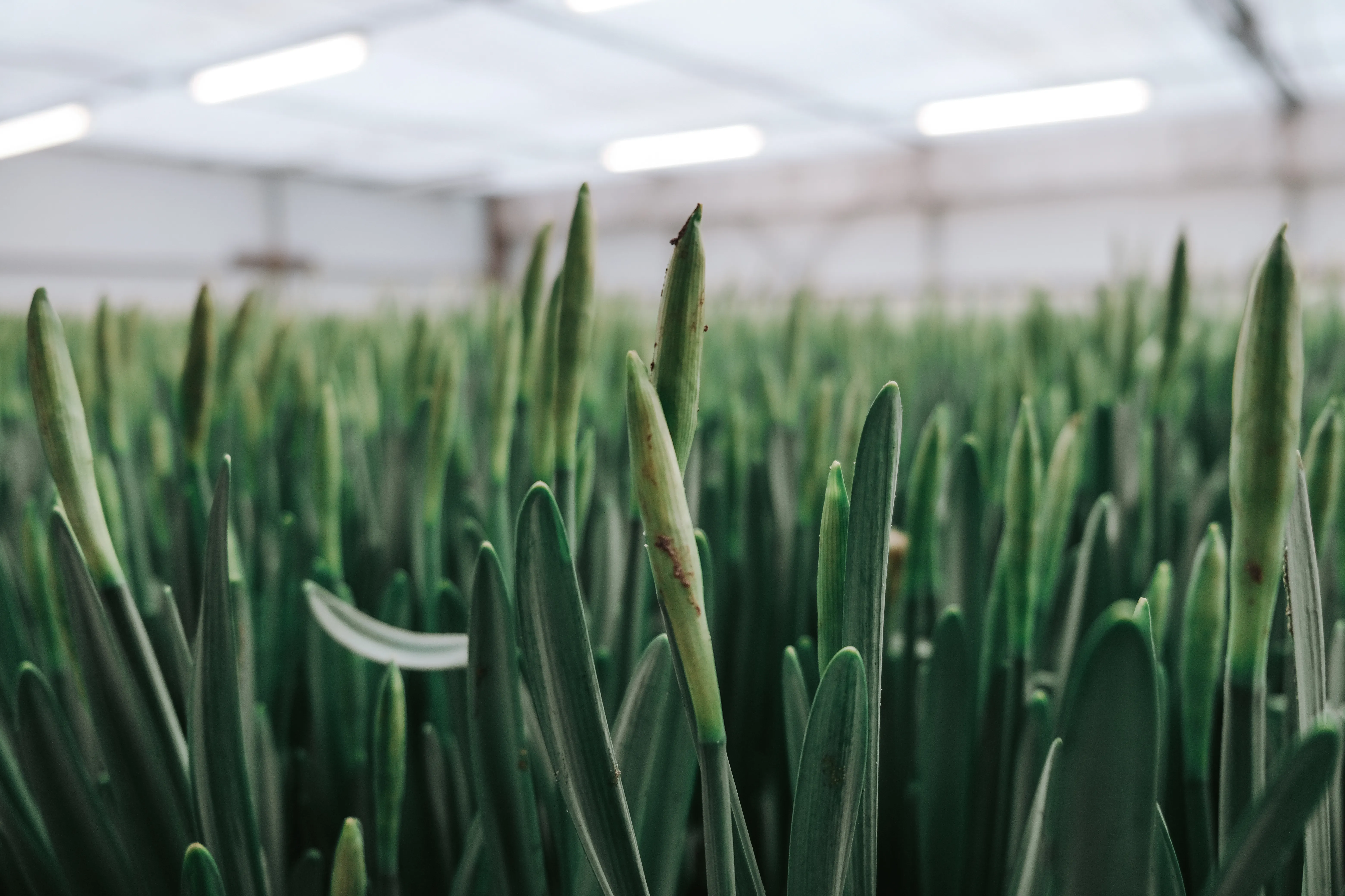 555B0282-4D2A-4AA3-BA8C-2C9AB97ED35A-22297-000008A92F1C7007