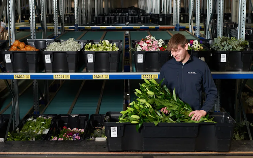 Bearbeitung von Blumenbestellungen