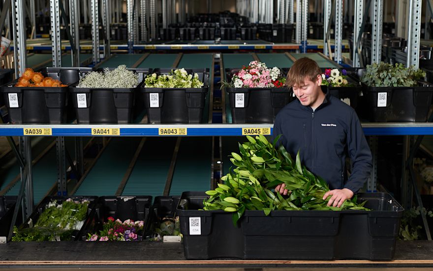 Flower order processing