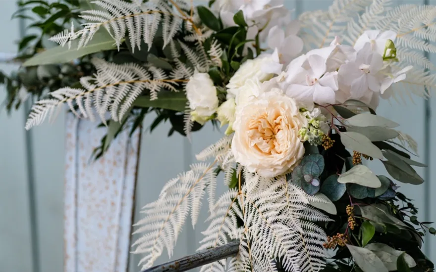 ingekooimanfotografie-260
