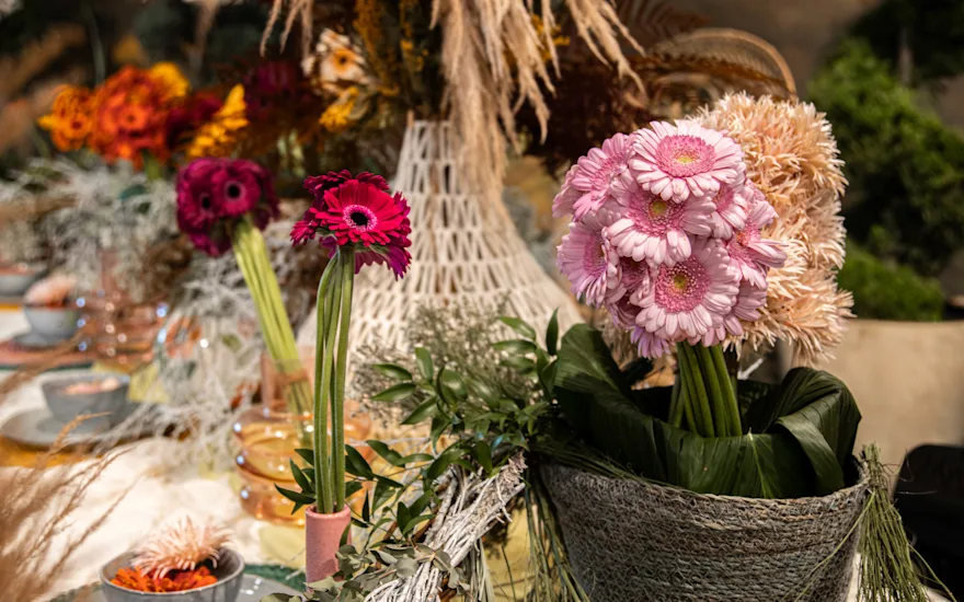 Van der Plas - Weddingflowers Gerbera