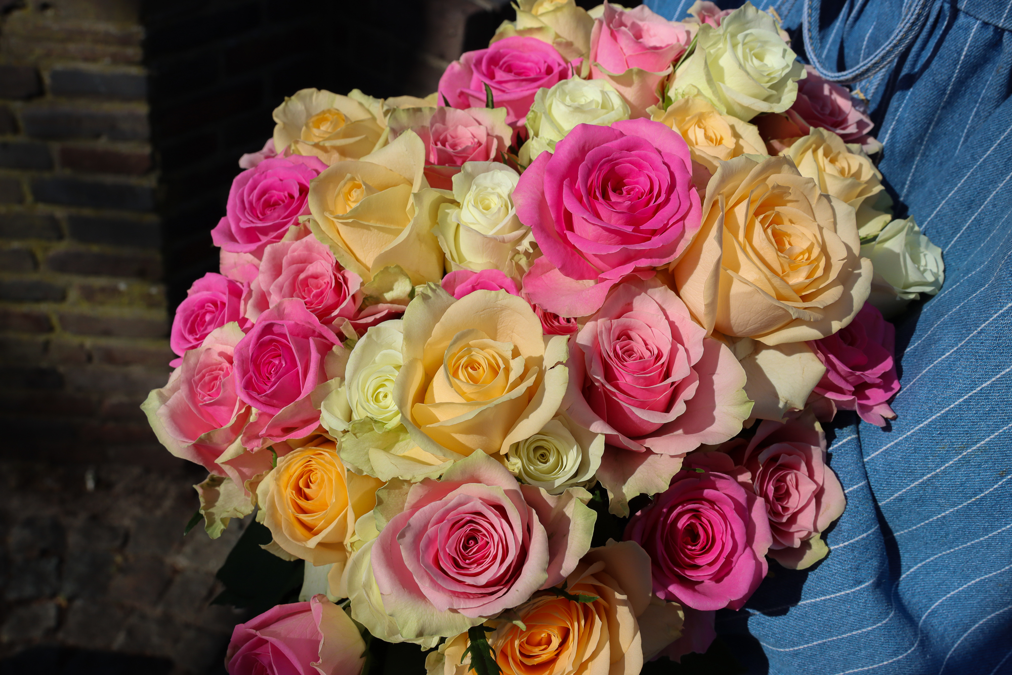 VDP-Roza Plaza- Rozen Mix-0425-verkleind-01